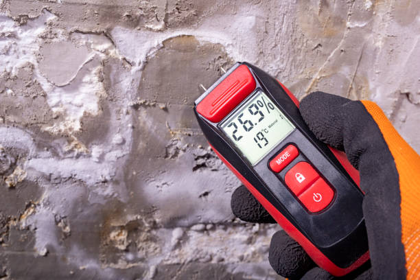 Best Mold Removal Near Me  in Lake Vla, IL