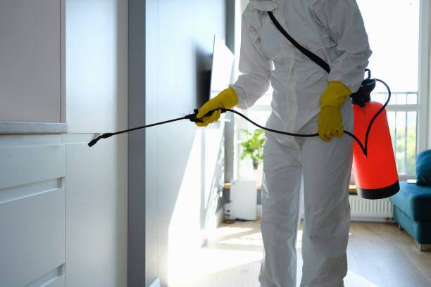 Best Office Mold Removal Services  in Lake Vla, IL